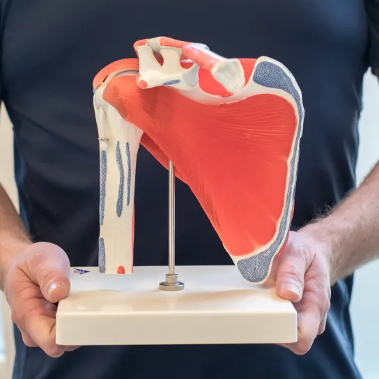 Waarom zou je voor Fyzie kiezen voor de behandeling van een frozen shoulder?